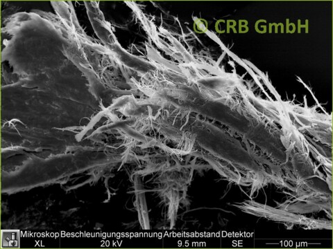 REM-Bild Chrysotil-Asbest in Dichtmasse | © CRB Analyse Service GmbH REM-Bild Chrysotil-Asbest in Dichtmasse | © CRB Analyse Service GmbH