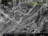 Imagen MEB de amianto crisotilo en vinilo cojín | © CRB Analysis Service GmbH