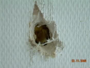 Asbesthaus - Fundstelle: Putz und Spachtelmassen, Gipskartonspachtel | © 2019, CRB Analyse Service GmbH