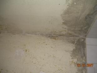 Asbesthaus - Site : Adhésif pour carrelage minéral contenant de l'amiante, coulis | © 2019, CRB Analyse Service GmbH | © CRB Analyse Service GmbH