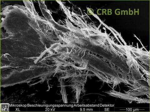 REM-Bild Chrysotil-Asbest in Linoleum | © CRB Analyse Service GmbH REM-Bild Chrysotil-Asbest in Linoleum | © CRB Analyse Service GmbH