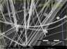 Amiante d’amosite dans fibrociment, image MEB | © CRB Analyse Service GmbH