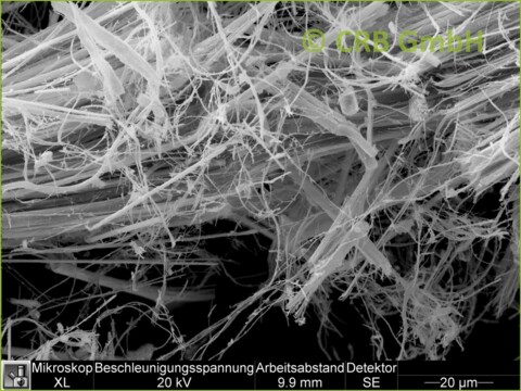 SEM-picture of chrysotile asbestos in asbestos-cement, fibrous cement | © CRB Analyse Service GmbH SEM-picture of chrysotile asbestos in asbestos-cement, fibrous cement | © CRB Analyse Service GmbH