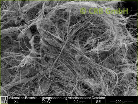 SEM-picture of amphibole asbestos, crocidolite in asbestos-cement, fibrous cement | © CRB Analyse Service GmbH SEM-picture of amphibole asbestos, crocidolite in asbestos-cement, fibrous cement | © CRB Analyse Service GmbH