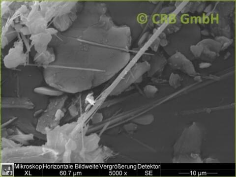 SEM-picture of amphibole asbestos, anthophyllite in plasters, trowlled on materials and paints | © CRB Analyse Service GmbH SEM-picture of amphibole asbestos, anthophyllite in plasters, trowlled on materials and paints | © CRB Analyse Service GmbH