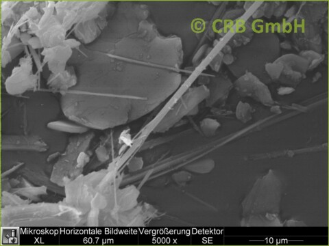 SEM-picture of amphibole asbestos, anthophyllite in plasters, trowlled on materials and paints | © CRB Analyse Service GmbH SEM-picture of amphibole asbestos, anthophyllite in plasters, trowlled on materials and paints | © CRB Analyse Service GmbH