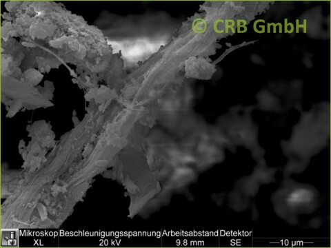 SEM-picture of chrysotile asbestos in plasters, trowlled on materials and paints | © CRB Analyse Service GmbH SEM-picture of chrysotile asbestos in plasters, trowlled on materials and paints | © CRB Analyse Service GmbH