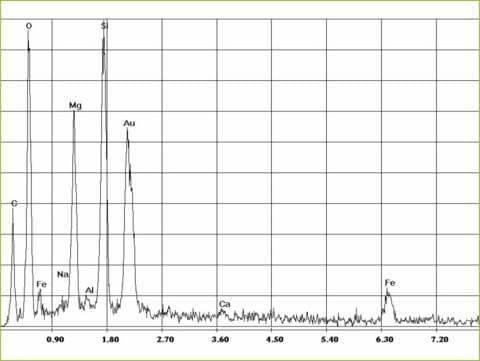 EDX-spectrum of amphibole asbestos, anthophyllite in plasters, trowlled on materials and paints | © CRB Analyse Service GmbH EDX-spectrum of amphibole asbestos, anthophyllite in plasters, trowlled on materials and paints | © CRB Analyse Service GmbH