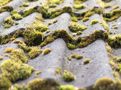 Vieilles toitures en amiante : y a-t-il libération de fibres ? 