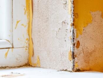 Asbesthaus - Fundstelle: Putz und Spachtelmassen, Gipskartonspachtel | © 2019, CRB Analyse Service GmbH